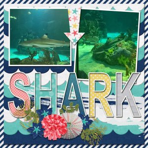 Shark: Sea World