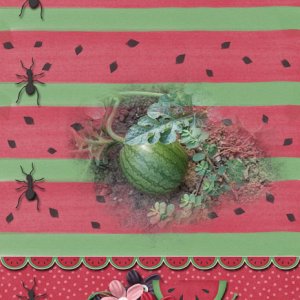 Watermelon