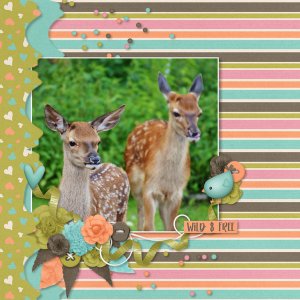 2 Deer