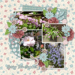 Spring into Summer