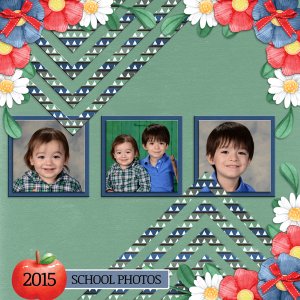 SCHOOL PHOTOS 2015