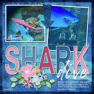 2022 Shark Dive-June Template Challenge #1