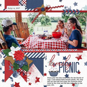 Family Picnic Tradition