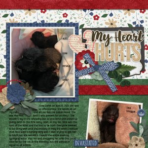 Life Chronicled: Hurt And Healing