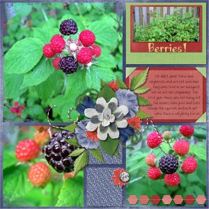 Black Raspberries