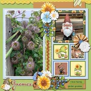 Gnomes