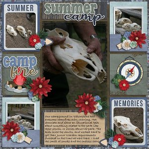 Summer Campfire Stories