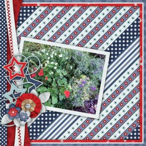 Red, White, + Blue
