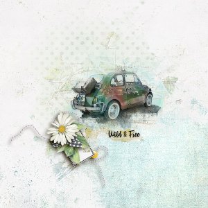 wild and free