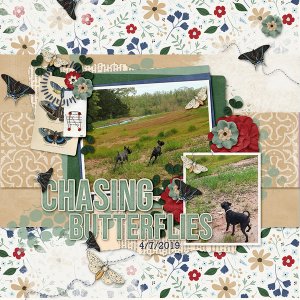 Life Chronicled Hurt and Healing