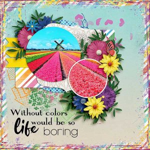 colors3