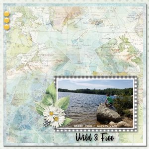 Wild and Free on Heads Pond Trail 2020