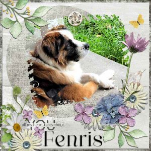 Fenris July GS PM Challenge