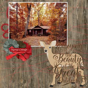 Cabin in the Woods
