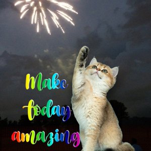 ATC 2022-012 Make Today Amazing