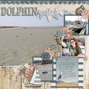 Dolphin Watch