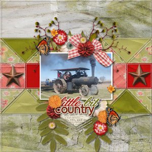 Little Bit Country