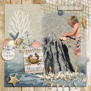 By the Seashore