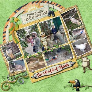 World of Birds, Take a walk on the wild side