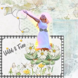 Wild + Free