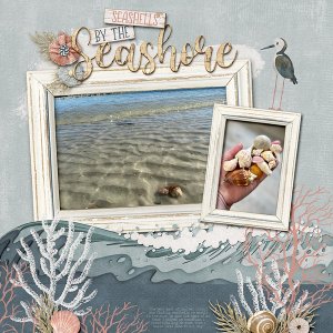 ~Seashells by the Seashore~