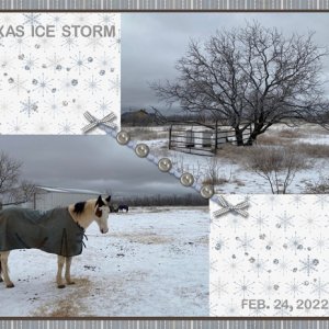 Icy Texas