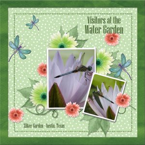 Visitors at the Water Garden