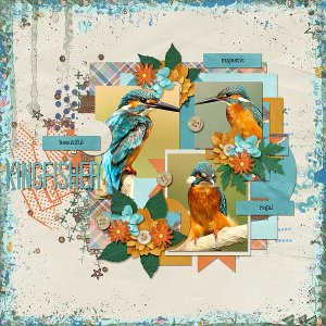 Kingfisher