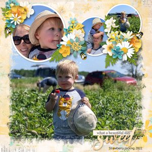 In the berry patch