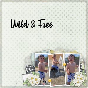 Big Summer Fun 2 Temp #4-Miss Fish, Use it all Challenge-KS