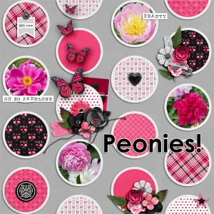 Peonies