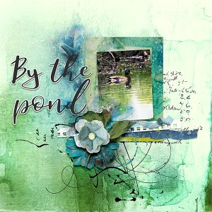 By The Pond