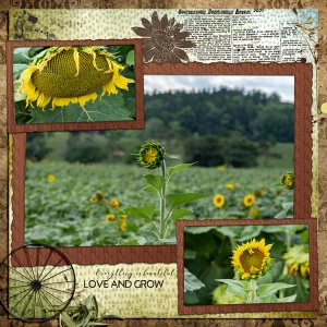 Cooperstown Sunflowers - DD Challenge July 2022
