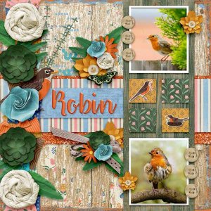 Early Bird by Aimee Harrison