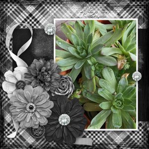 Monochromatic layout challenge