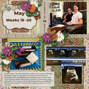 Weeks 19 -20