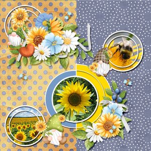 Gnomes and sunflowers