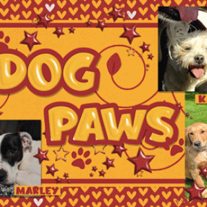 Dog Paws banner