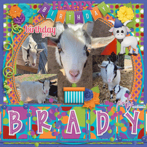 Happy Birthday Brady