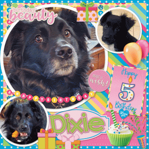 Happy Birthday Dixie