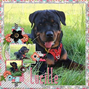 Lucille