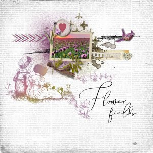 Flower Fields