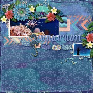 Aquarium