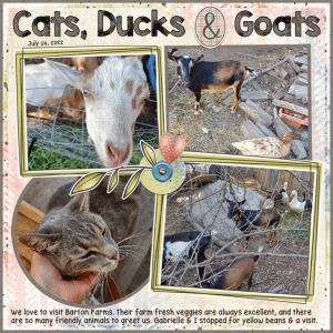 Cats, Ducks, and Goats