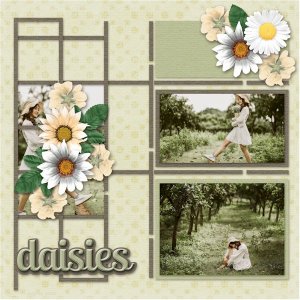 Daisies