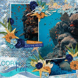 Coral Reef