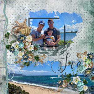 Coastal Craze Bundle-CarolW
