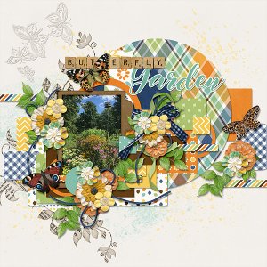 Butterfly Garden