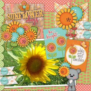 Sunflower Days