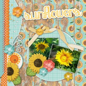 Sunflowers